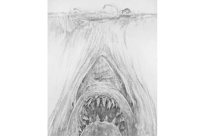 Details about / Jaws New Giclée Art Print of the 1975 Movie Poster No Frame